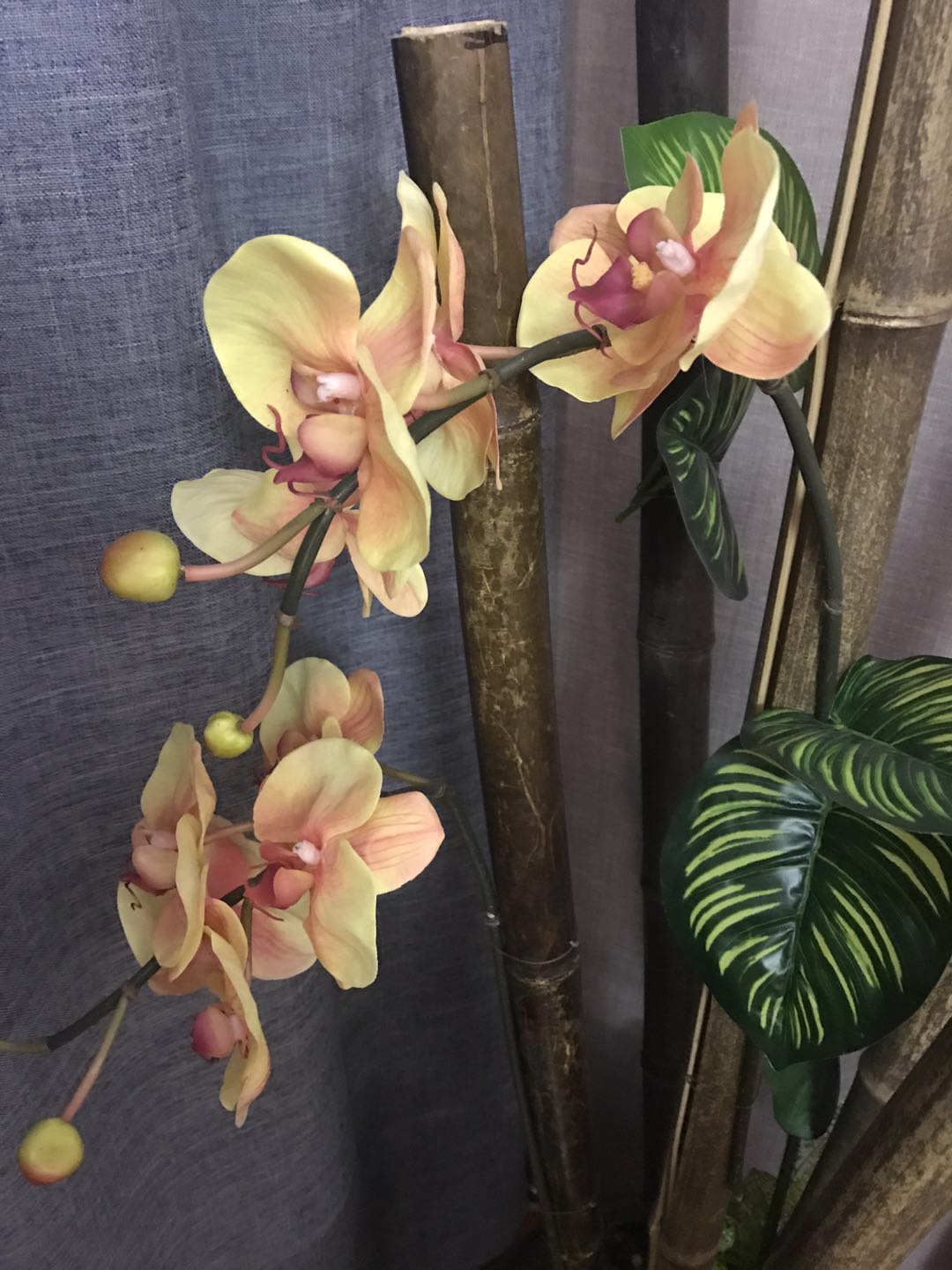 厦门绅度会所尊享地址揭秘